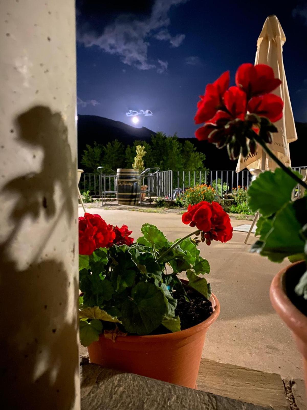 Hotel Guara Inluka Las Almunias Dış mekan fotoğraf