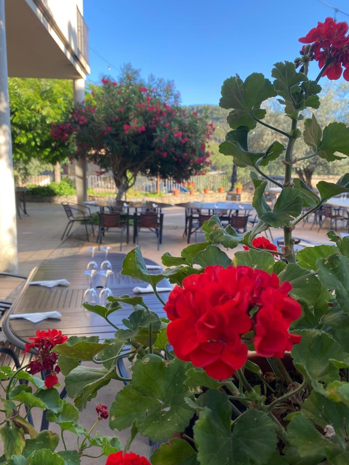 Hotel Guara Inluka Las Almunias Dış mekan fotoğraf